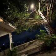 ヒメ日記 2025/09/23 00:05 投稿 らん 妖精（ようせい）