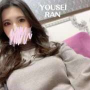 ヒメ日記 2025/11/28 11:52 投稿 らん 妖精（ようせい）