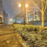 ヒメ日記 2026/01/12 12:36 投稿 らん 妖精（ようせい）