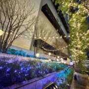 ヒメ日記 2026/01/13 22:50 投稿 らん 妖精（ようせい）