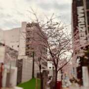 ヒメ日記 2026/03/06 22:05 投稿 らん 妖精（ようせい）