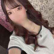 ヒメ日記 2026/04/15 03:25 投稿 なみき 妖精（ようせい）