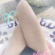 ヒメ日記 2025/07/09 07:07 投稿 しほ ままどーる