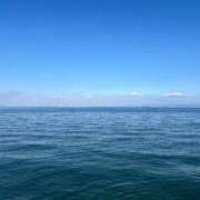 ヒメ日記 2025/11/17 18:02 投稿 あやの 妖精（ようせい）