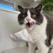 ヒメ日記 2026/03/05 17:15 投稿 あやの 妖精（ようせい）