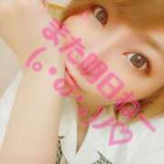 ヒメ日記 2025/07/08 08:52 投稿 さくら 妖精（ようせい）