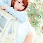 ヒメ日記 2025/10/09 11:07 投稿 さくら 妖精（ようせい）