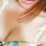 ヒメ日記 2025/10/21 14:52 投稿 さくら 妖精（ようせい）