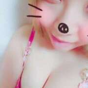 ヒメ日記 2025/11/06 04:16 投稿 さくら 妖精（ようせい）