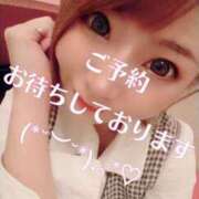 ヒメ日記 2025/11/07 07:34 投稿 さくら 妖精（ようせい）