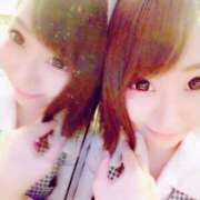 ヒメ日記 2025/12/11 07:13 投稿 さくら 妖精（ようせい）