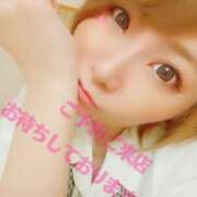 ヒメ日記 2026/01/24 07:35 投稿 さくら 妖精（ようせい）