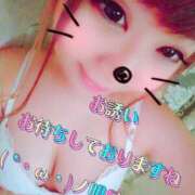 ヒメ日記 2026/02/20 07:45 投稿 さくら 妖精（ようせい）