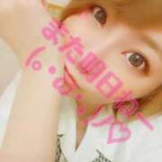 ヒメ日記 2026/03/07 10:15 投稿 さくら 妖精（ようせい）