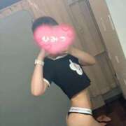 ヒメ日記 2025/06/19 14:33 投稿 うた 妖精（ようせい）