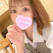 ヒメ日記 2025/08/01 10:53 投稿 うた 妖精（ようせい）