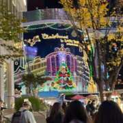 ヒメ日記 2025/11/14 14:04 投稿 うた 妖精（ようせい）