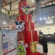 ヒメ日記 2025/11/29 21:25 投稿 うた 妖精（ようせい）