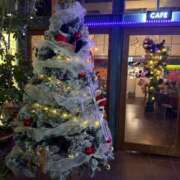 ヒメ日記 2025/12/04 00:38 投稿 うた 妖精（ようせい）