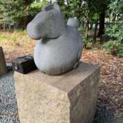 ヒメ日記 2026/01/02 08:23 投稿 うた 妖精（ようせい）