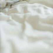 ヒメ日記 2025/07/24 20:48 投稿 あいこ 妖精（ようせい）