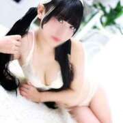 ヒメ日記 2025/08/27 15:14 投稿 あいこ 妖精（ようせい）