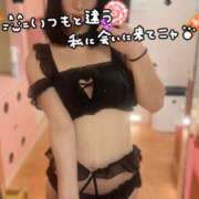 ヒメ日記 2025/10/06 19:00 投稿 あいこ 妖精（ようせい）