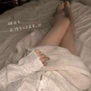 ヒメ日記 2026/08/14 01:33 投稿 あいこ 妖精（ようせい）