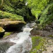 ヒメ日記 2025/06/25 18:49 投稿 ねね 妖精（ようせい）