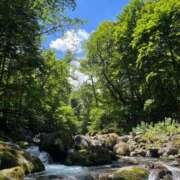 ヒメ日記 2025/07/01 21:41 投稿 ねね 妖精（ようせい）