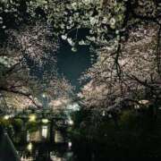 ヒメ日記 2026/03/29 09:25 投稿 ねね 妖精（ようせい）