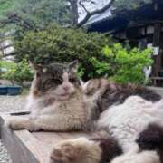 ヒメ日記 2026/04/18 11:55 投稿 ねね 妖精（ようせい）