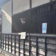 ヒメ日記 2026/05/28 23:05 投稿 ねね 妖精（ようせい）