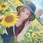 ヒメ日記 2025/07/30 12:41 投稿 みち 妖精（ようせい）