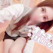 ヒメ日記 2025/08/10 00:00 投稿 みち 妖精（ようせい）