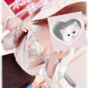 ヒメ日記 2025/08/17 20:01 投稿 みち 妖精（ようせい）