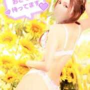 ヒメ日記 2025/09/30 18:04 投稿 みち 妖精（ようせい）