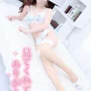 ヒメ日記 2025/10/12 02:51 投稿 みち 妖精（ようせい）