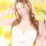 ヒメ日記 2025/11/18 09:15 投稿 みち 妖精（ようせい）