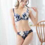 ヒメ日記 2025/11/06 16:59 投稿 いるか 妖精（ようせい）