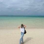 ヒメ日記 2025/11/17 00:00 投稿 いるか 妖精（ようせい）