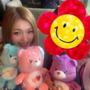 ヒメ日記 2025/11/24 15:02 投稿 いるか 妖精（ようせい）