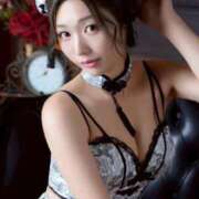 ヒメ日記 2026/02/08 16:10 投稿 いるか 妖精（ようせい）