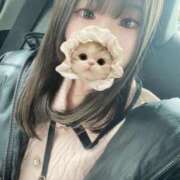 ヒメ日記 2025/06/17 17:30 投稿 みその 妖精（ようせい）