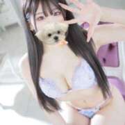 ヒメ日記 2025/07/06 12:18 投稿 みその 妖精（ようせい）