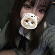 ヒメ日記 2025/08/09 03:30 投稿 みその 妖精（ようせい）