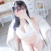 ヒメ日記 2025/08/18 15:40 投稿 みその 妖精（ようせい）