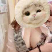 ヒメ日記 2025/08/25 03:00 投稿 みその 妖精（ようせい）