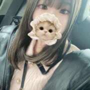 ヒメ日記 2025/10/14 08:01 投稿 みその 妖精（ようせい）