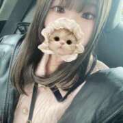 ヒメ日記 2025/11/02 02:00 投稿 みその 妖精（ようせい）